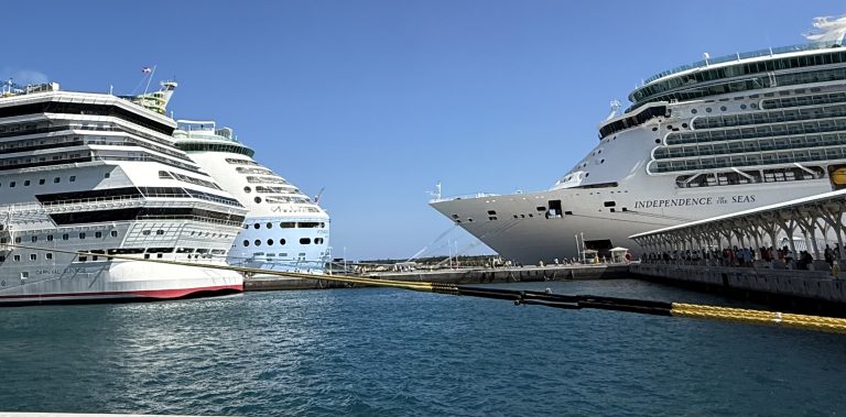 Carnival Sunrise and Royal Caribbean Independence of the Seas docked side by side at port